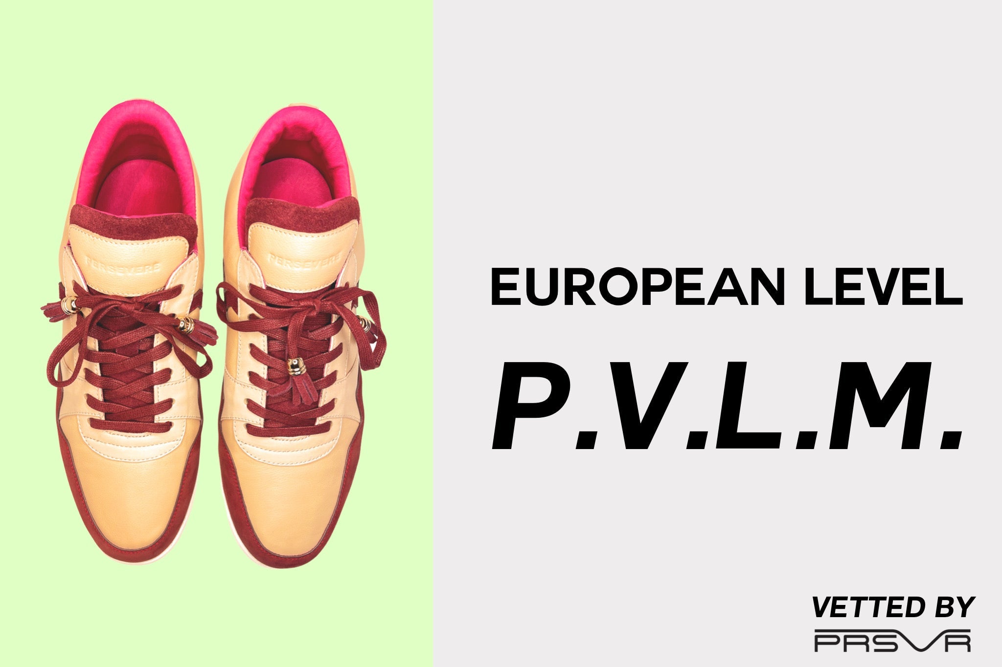 European Level PVLM