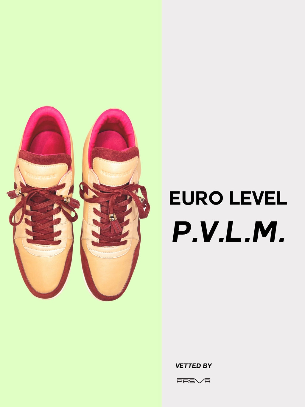 European Level PVLM