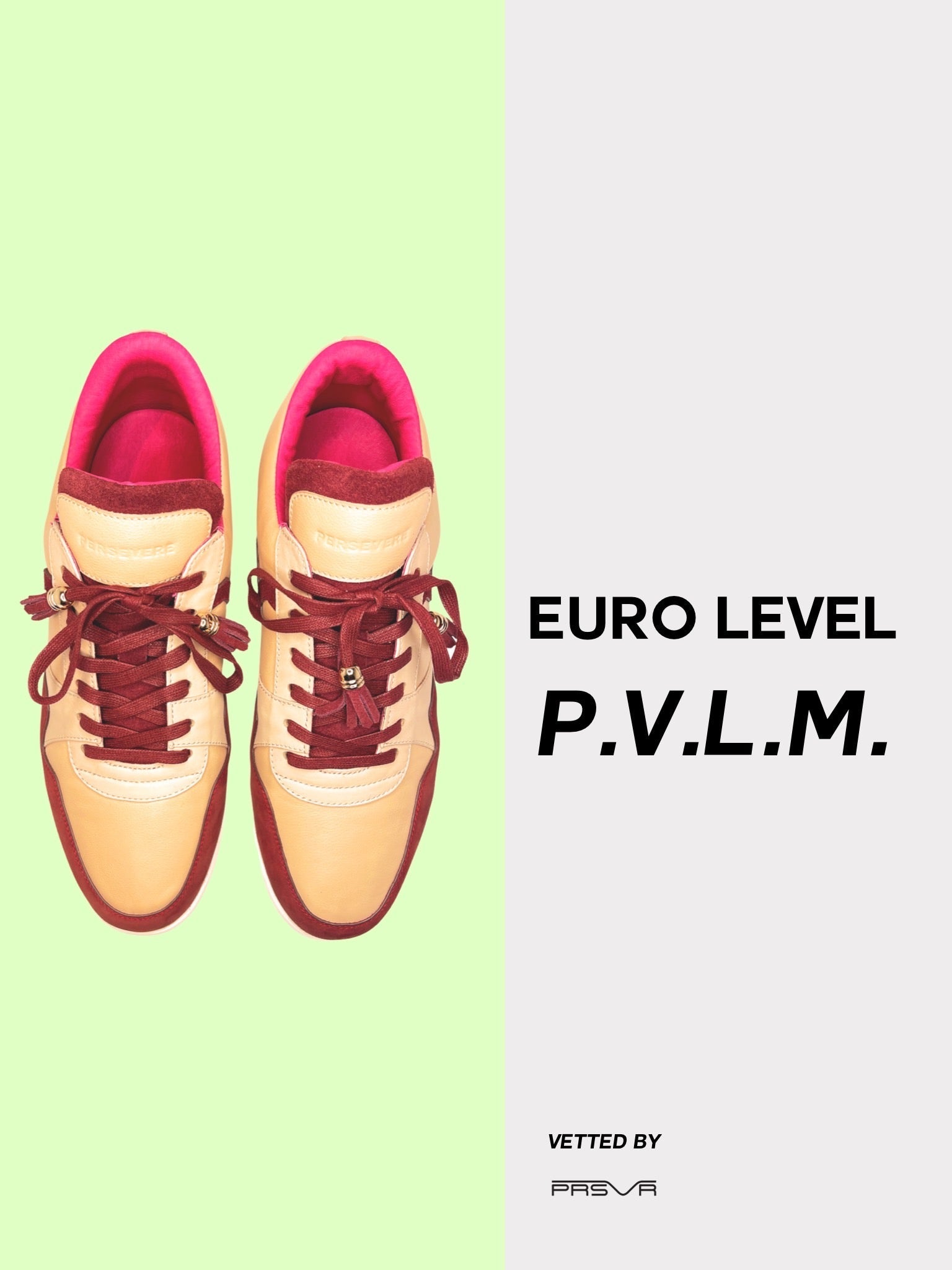 European Level PVLM